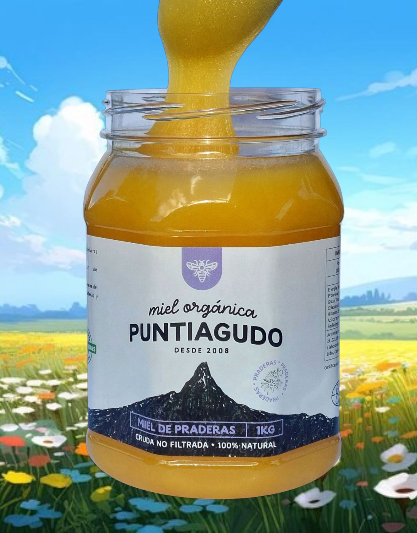miel orgánica del sur de Chile. 4x1 kg