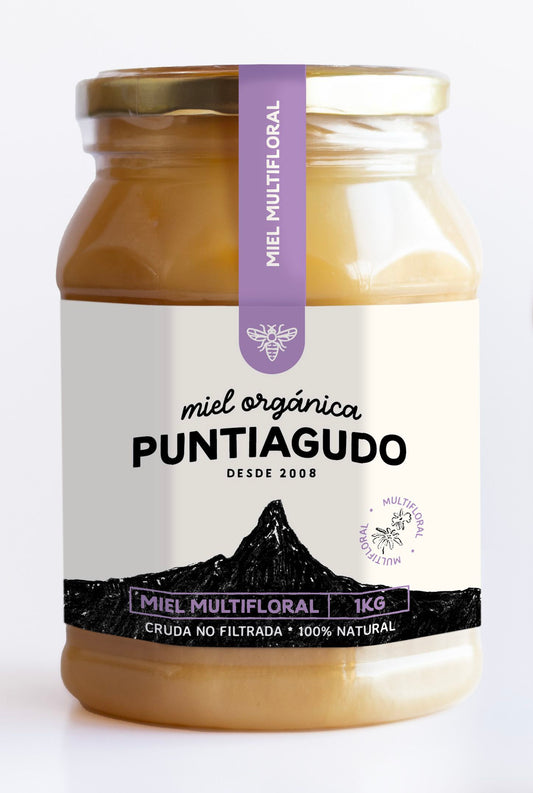miel orgánica del sur de Chile. 4x1 kg