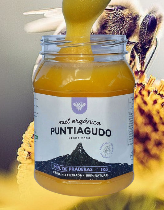 miel orgánica del sur de Chile. 4x1 kg