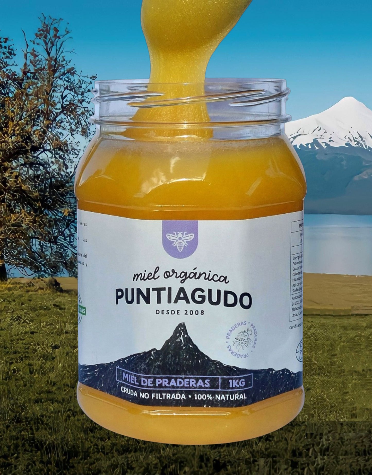 miel orgánica del sur de Chile. caja de 10 kg