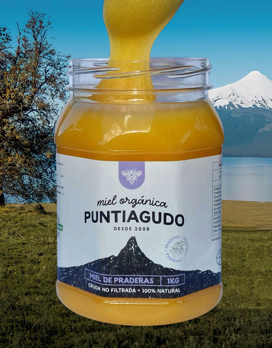 miel orgánica del sur de Chile. caja de 10 kg