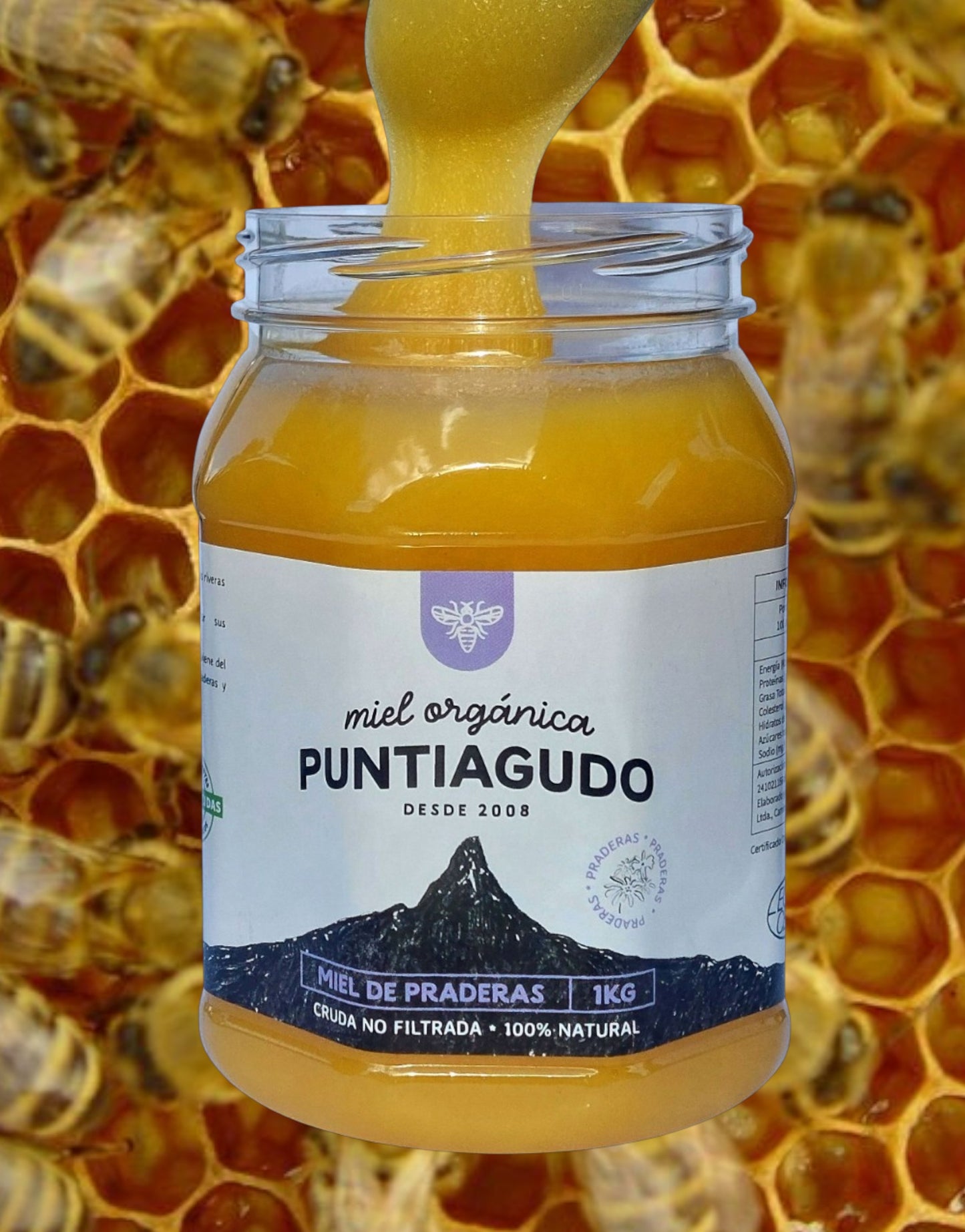 miel orgánica del sur de Chile. caja de 10 kg