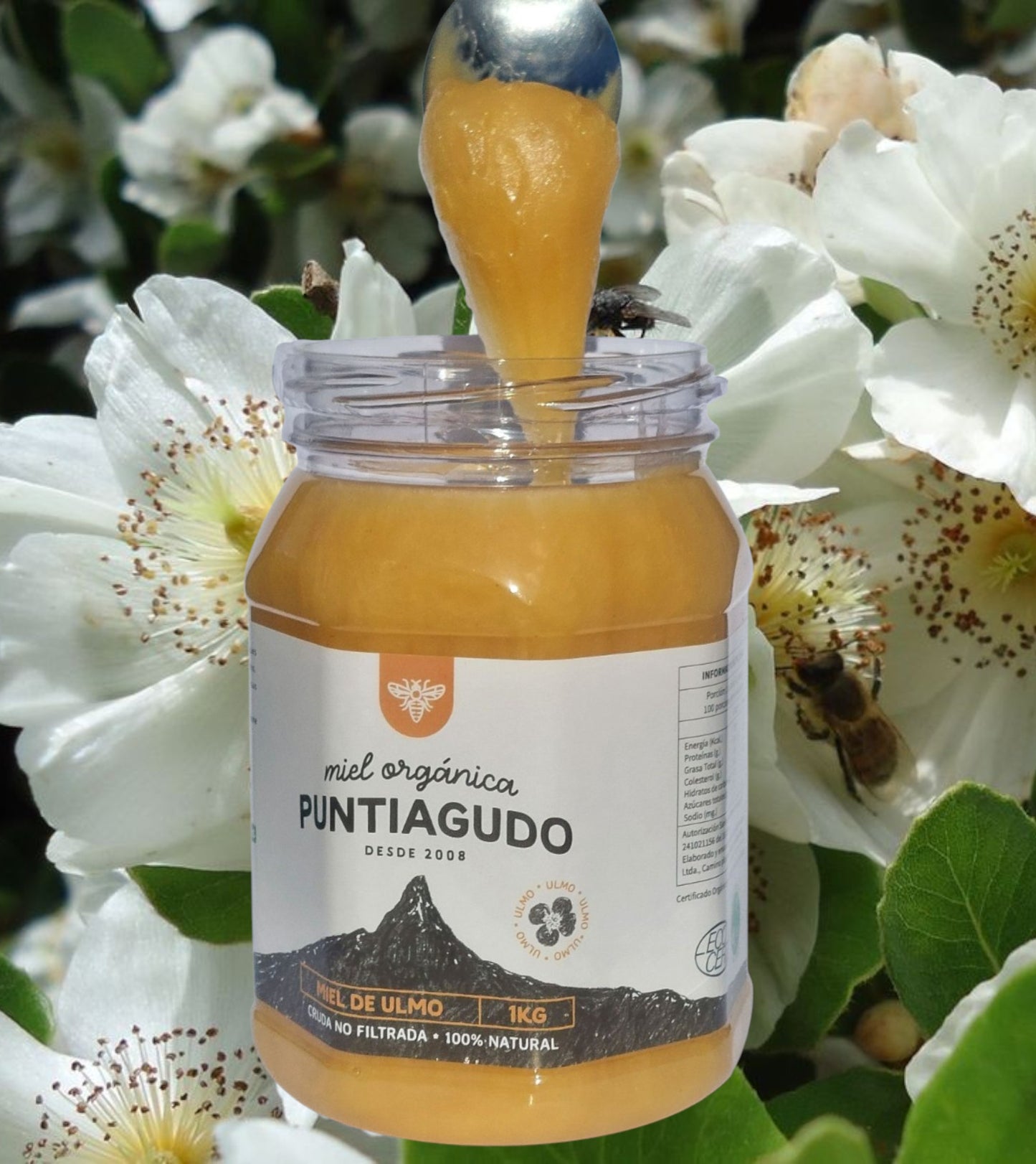 miel de ulmo Orgánica. 10x 1 kg