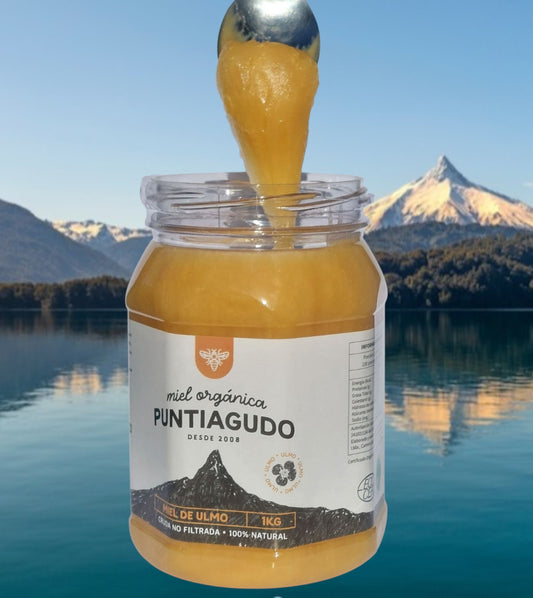 miel de ulmo Orgánica. 10x 1 kg