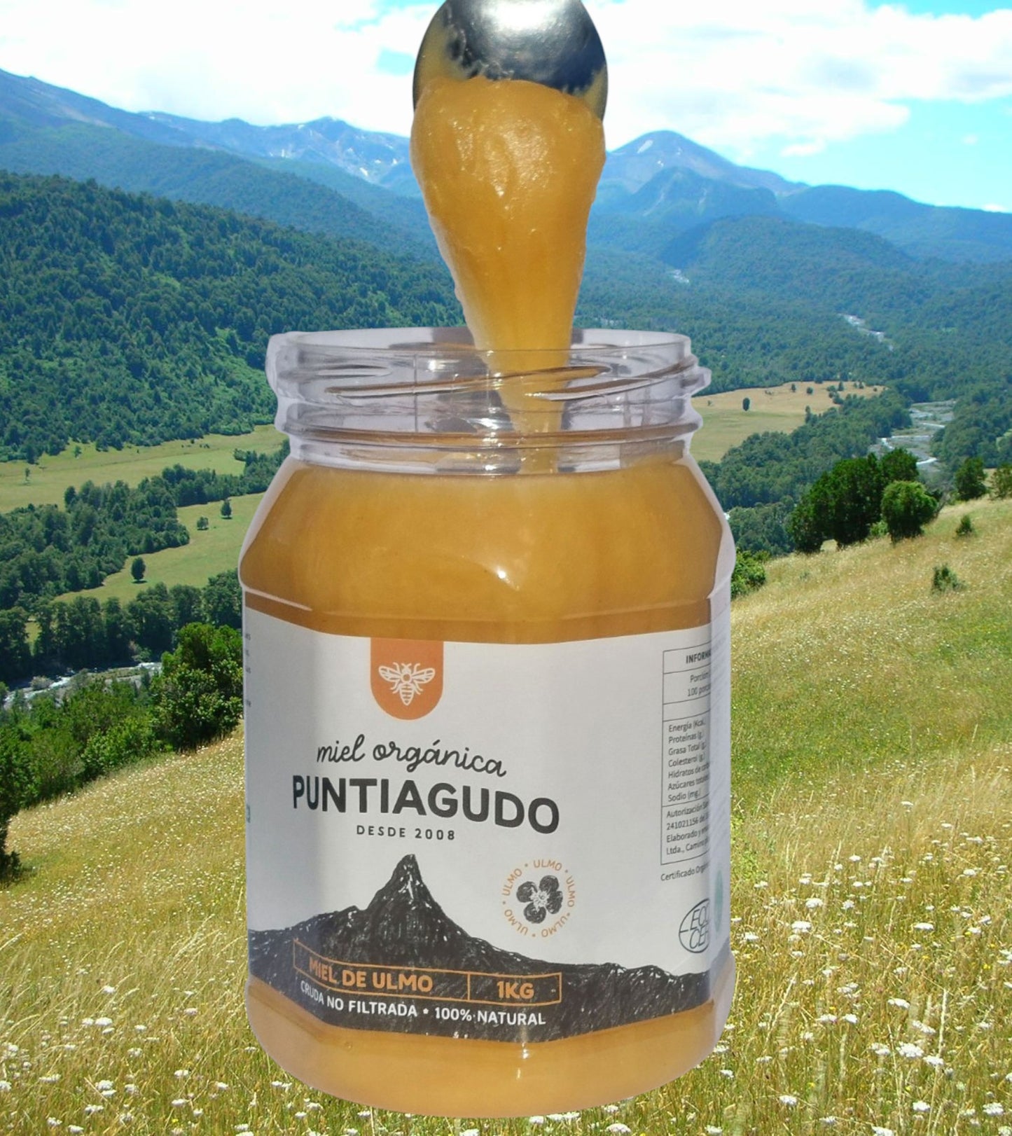 miel de ulmo Orgánica. 10x 1 kg